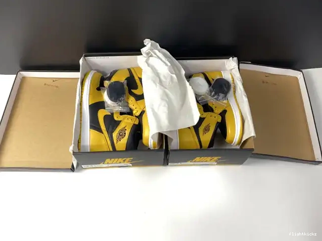 Retro Jordan Pollen OG 555088-701 Air High 1 0502